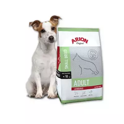 Arion Original Adult Small Breed Lamb & Rice 7,5kg